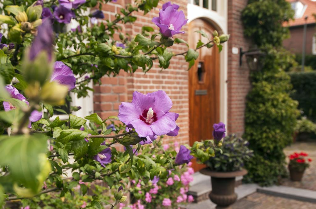 B&B De Schiedamse Suites Exterior photo